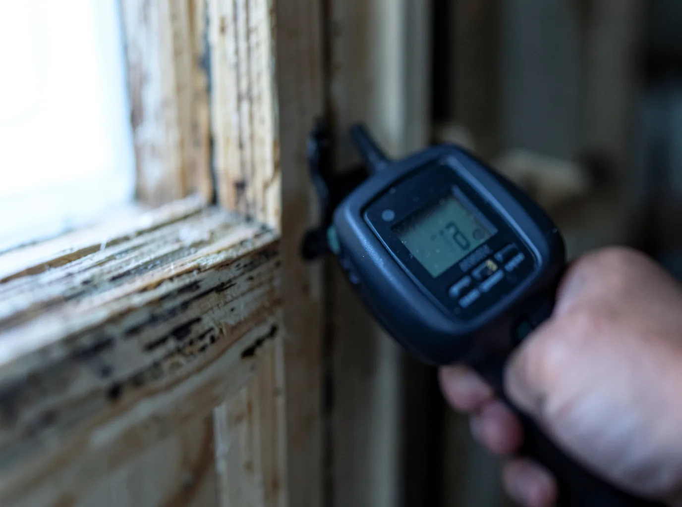 Commercial Water Damage Restoration in Hamilton, MT